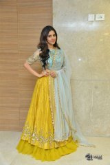 Nabha Natesh New Photos